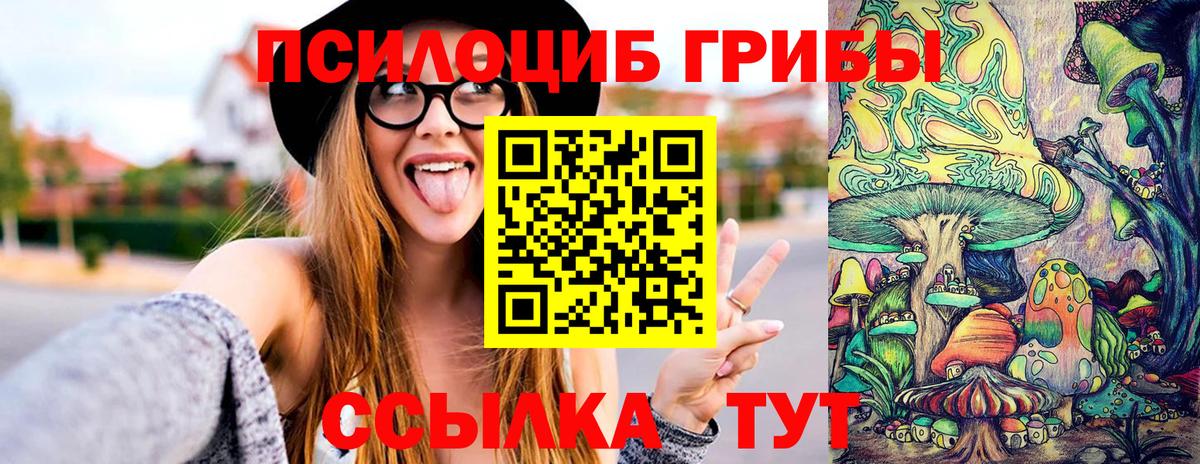 Галлюциногенные грибы прущие грибы  Вход с VPN  Шали 