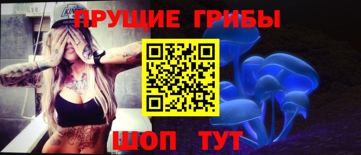 Галлюциногенные грибы Psilocybine cubensis Шали